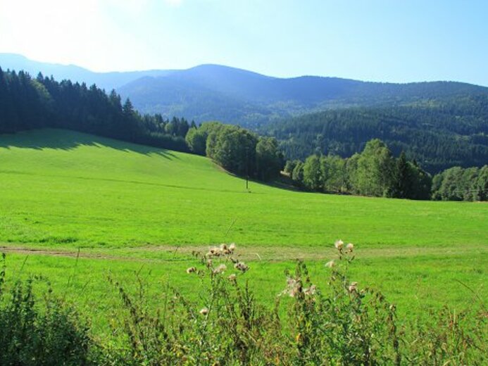 U vodní nádrže Nýrsko - apartmán Šumava, západní Čechy - Hamry