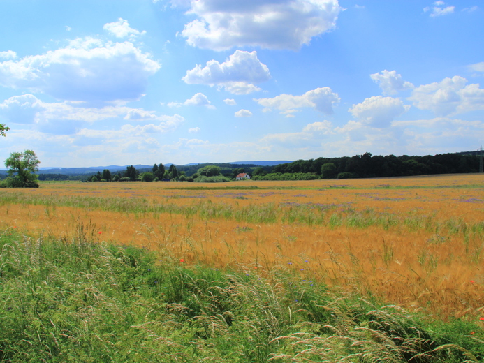 IMG_0330 - Pod Pleší
