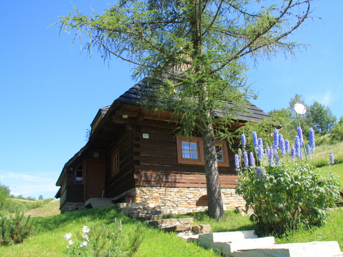 IMG_7371 - Pod Roháči                              