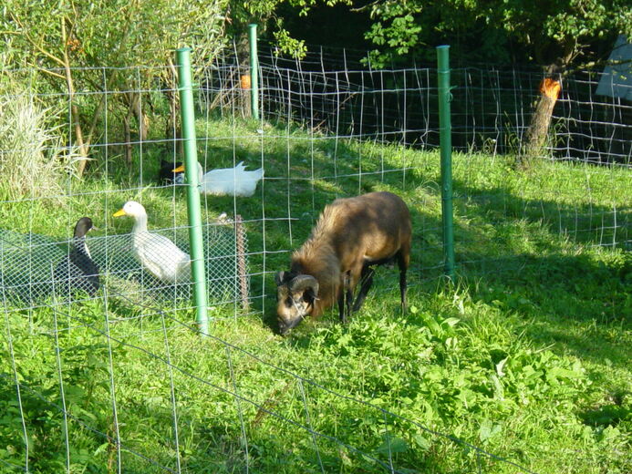 001 - Peklo nad Zdobnicí