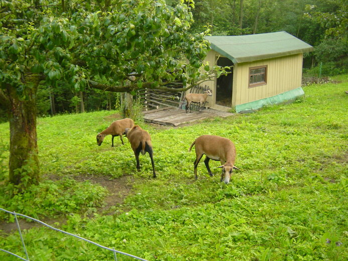 040 - Peklo nad Zdobnicí