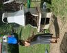 IMG_9558 - U Lipna