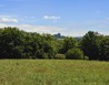 20240617_122419 - Sobotka