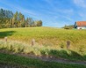 20231011_135456 - Kraslice