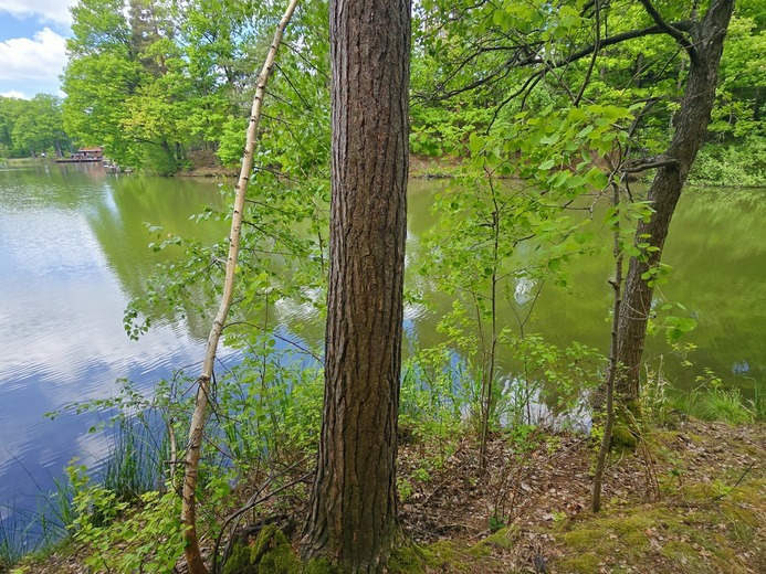 20260522_123532 - Rybník Mrhal