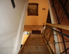 IMG_8083 - Srní-U vlčího výběhu