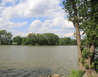 IMG_6284 - Dvorce u Jičína