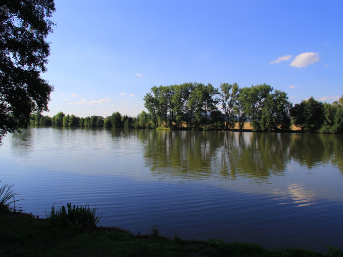 IMG_9185 - Dvorce u Jičína