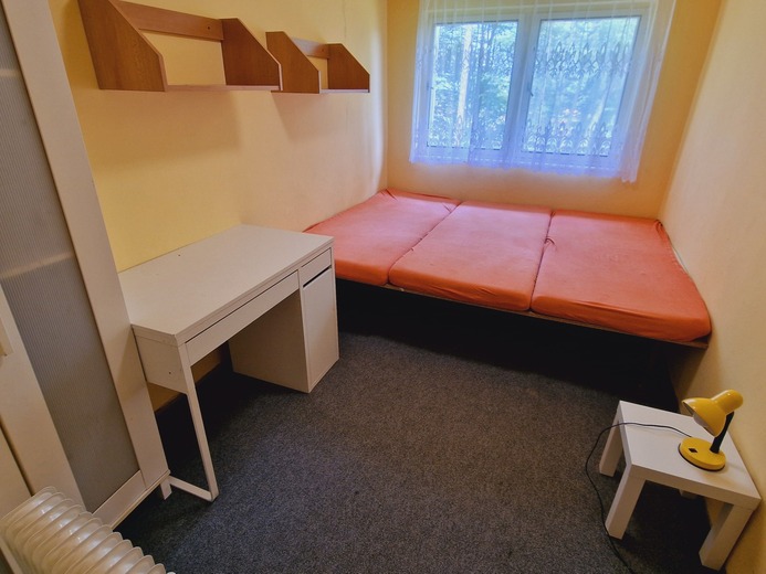20240510_130054 - Písek