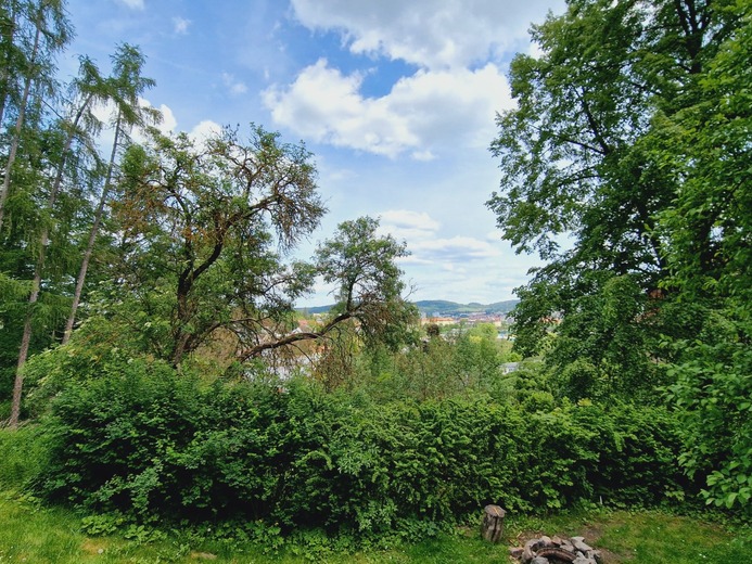20240510_130956 - Písek