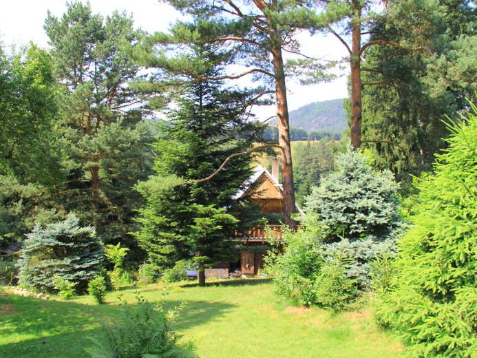 IMG_6174 - Chřibská