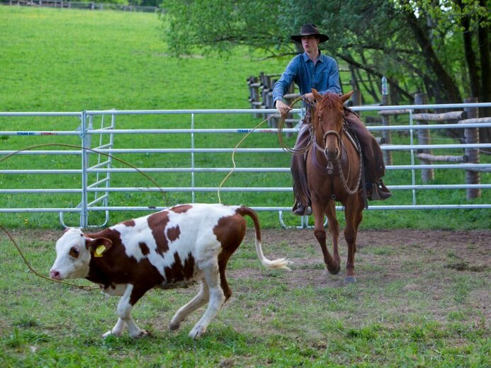 adam_super - Benešov u Semil