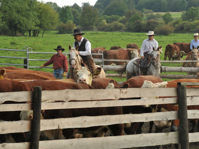 DSC_0382 - Benešov u Semil
