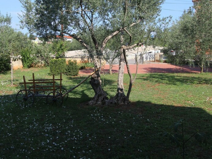 hrkvaa19508y - Ostrov Krk-Malinska