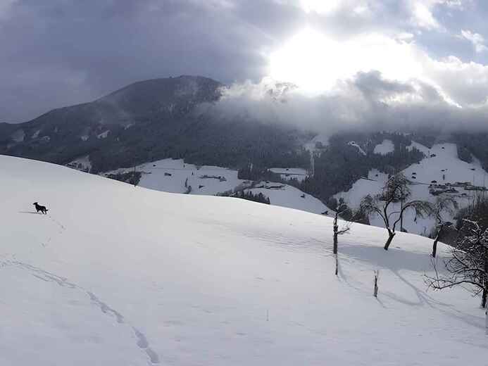 ATTIRA03084Q_1 - Zillertal