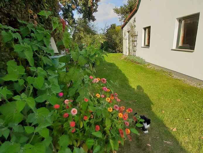 DEMVPA09593AA - Gustow-Rujána