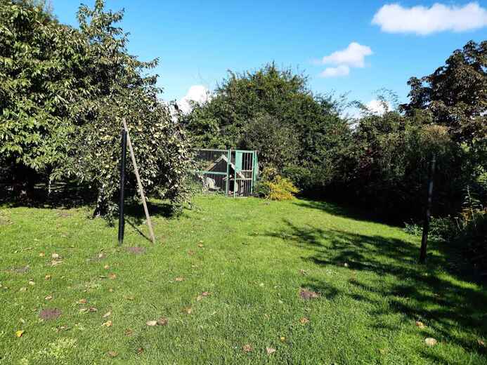 DEMVPA09593AH - Gustow-Rujána