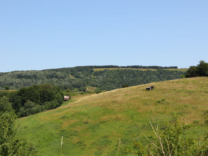 IMG_1133 - Český Banát - Eibenthal