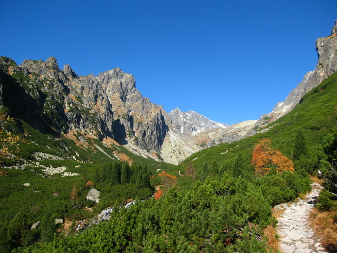 Vysoké Tatry - Malá Studená dolina